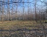 Eladó szántó Cegléden, az Ugyeri dűlőben