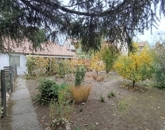 Eladó családi ház Baja 18 500 000 Ft