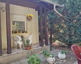 Eladó családi ház Szolnokon, Holt-Tiszától 30 méterre!