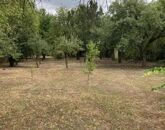 Eladó családi ház Gyömrő 39 900 000 Ft