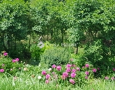 Eladó telek/földterület Harkány 3 800 000 Ft