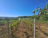 Eladó telek/földterület Zalaistvánd 3 950 000 Ft