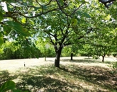 Eladó családi ház Lovasberény 129 000 000 Ft