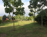 Eladó telek/földterület Kulcs 25 500 000 Ft