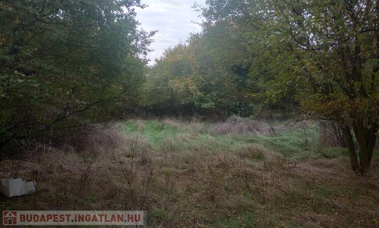 Eladó Papkeszin 7035 nm lakóövezeti építési telek                                 