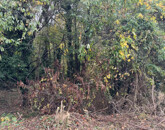 Eladó telek/földterület Kőszeg 59 500 000 Ft