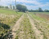 Keresel egy nyugodt helyet? Eladó Zártkert Szőny-Bélapusztán!