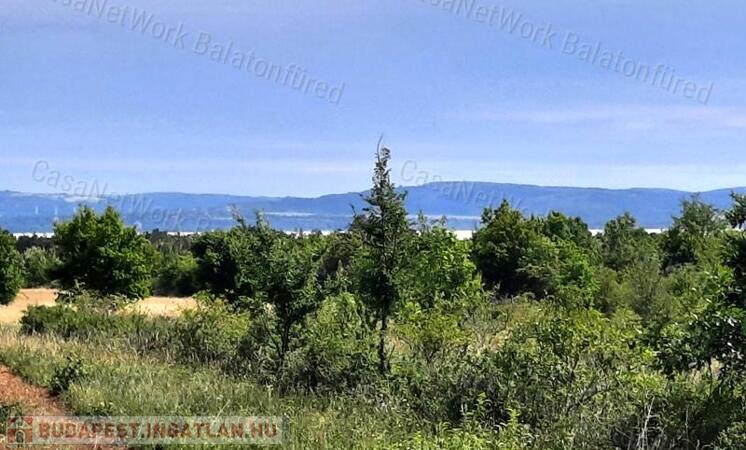 Település közeli - eladó ERDŐ TERÜLET BALATONUDVARIBAN                                 