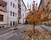 Eladó lakás Szeged 128 000 000 Ft