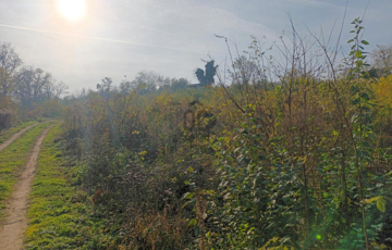 Eladó telek/földterület