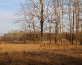 Eladó zöldterület, Tápiószentmárton