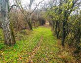 Eladó telek/földterület Verőce 18 990 000 Ft