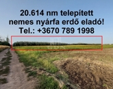 Eladó telek/földterület Hajdúnánás 12 875 000 Ft