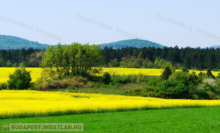 Szántó, Legelő eladó, Veszprém, Takácskert!                                 