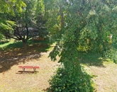 Eladó lakás Miskolc 18 800 000 Ft