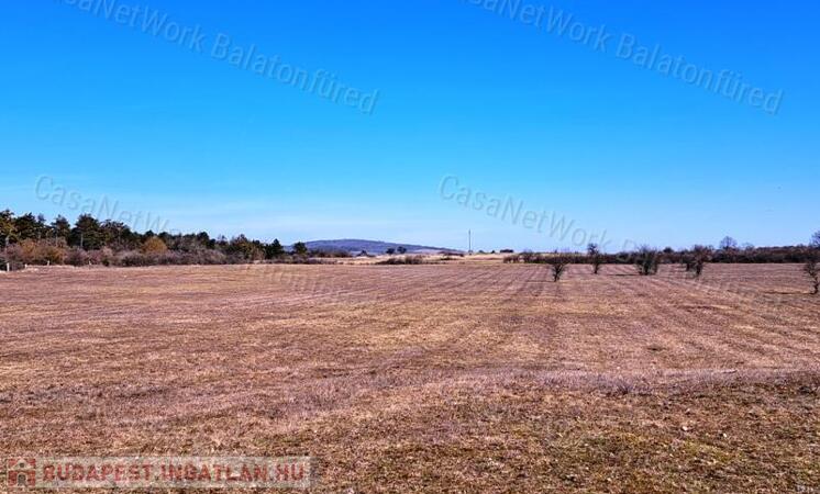 Gazdálkodásra, állattartásra alkalmas mezőgazdasági terület Barnagon                                 