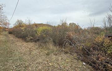 Eladó telek/földterület
