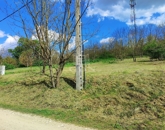 Eladó családi ház Domony 130 000 000 Ft