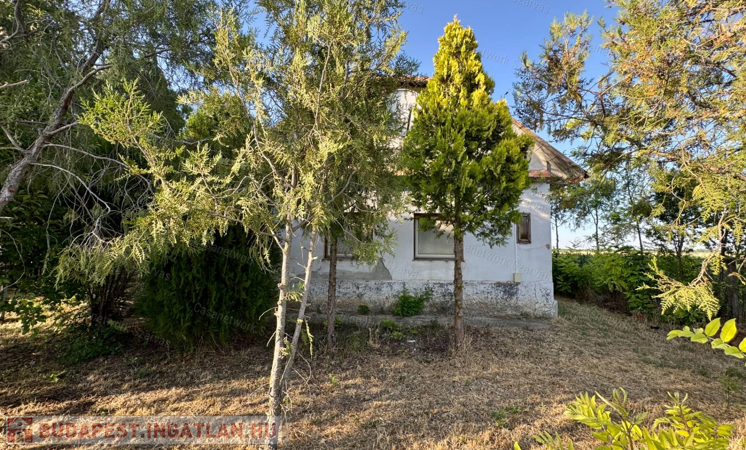 Számos hasznosítási lehetőséget magában foglaló tanya eladó Kardoson                                 