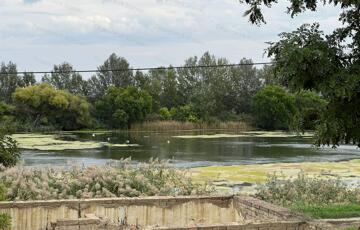 Eladó telek/földterület