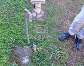 Kiadó családi ház Budapest IV. ker 500 000 Ft