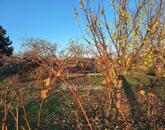 Eladó telek/földterület Ádánd 8 500 000 Ft