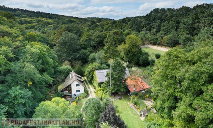 Ősfás birtok saját patakkal az erdő, a Nemzeti Park közepén                                 