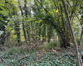 Eladó telek/földterület Kőszeg 29 500 000 Ft