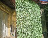 Eladó ház Csolnok szívében!