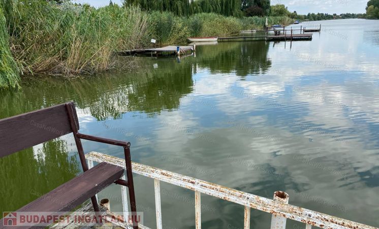 Szajol Alamand  dűlőn 4 szobás családi ház eladó                                 