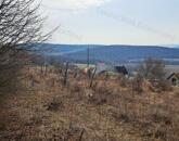 Építhető, tájpanorámás -MEZŐGAZDASÁGI TERÜLET BALATONCSICSÓN