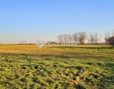 Eladó családi ház Egerág 159 000 000 Ft