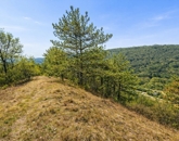 Eladó telek/földterület Kincsesbánya 49 000 000 Ft