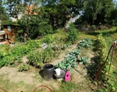 Eladó családi ház Vasvár 34 990 000 Ft