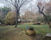 Eladó lakás Budapest II. ker 210 000 000 Ft