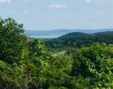 Részpanorámás szőlő terület