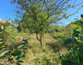 Eladó telek/földterület Debrecen 11 000 000 Ft