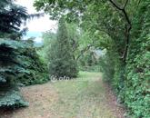 Eladó üdülő/nyaraló Solymár 69 900 000 Ft