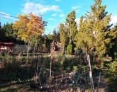 Eladó telek/földterület Pomáz 55 000 000 Ft