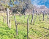 Eladó telek/földterület Felsőörs 60 000 000 Ft