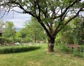 Eladó üdülő/nyaraló Solymár 64 900 000 Ft