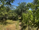 Eladó telek/földterület Miskolc 13 900 000 Ft