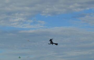 Eladó telek/földterület