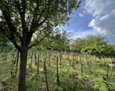 Eladó családi ház Balatonfüred 232 900 000 Ft