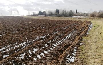 Eladó telek/földterület