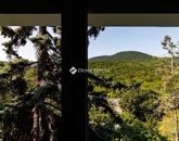 Eladó lakás Budapest II. ker 169 000 000 Ft