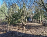 Eladó telek/földterület Budakeszi 29 900 000 Ft