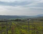 Óbudaváron ÖRÖK PANORÁMÁS zártkert eladó! 5107nm!