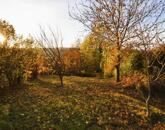 Eladó családi ház Zalaegerszeg 15 700 000 Ft