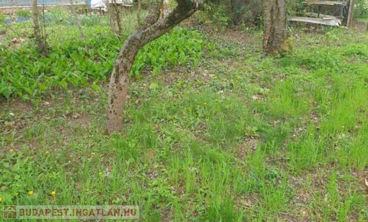 Zártkert Tatabányán                                 